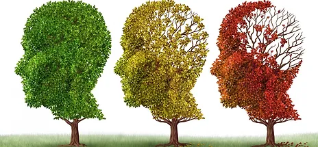 Riabilitazione Cognitiva